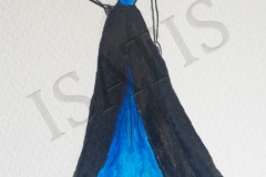 Robe noire et bleue